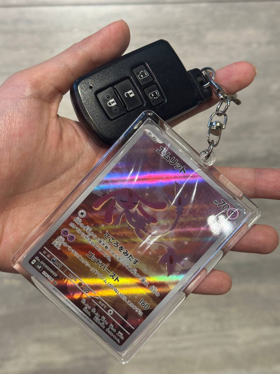 Carry Your Collection Everywhere